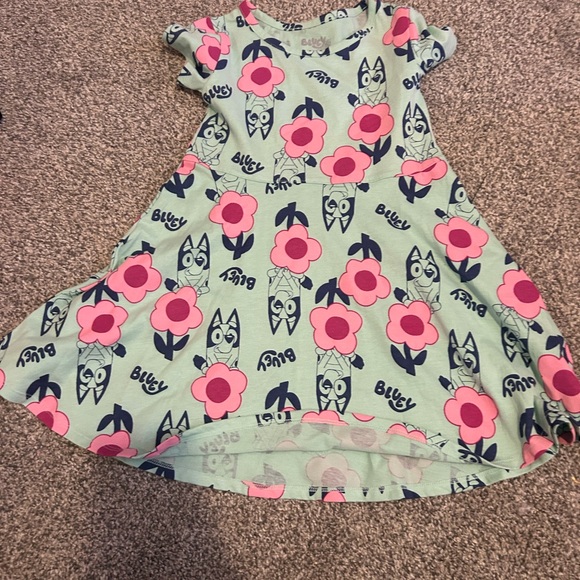 Lucy Other - Bluey kids Dress with Pink Floral Design